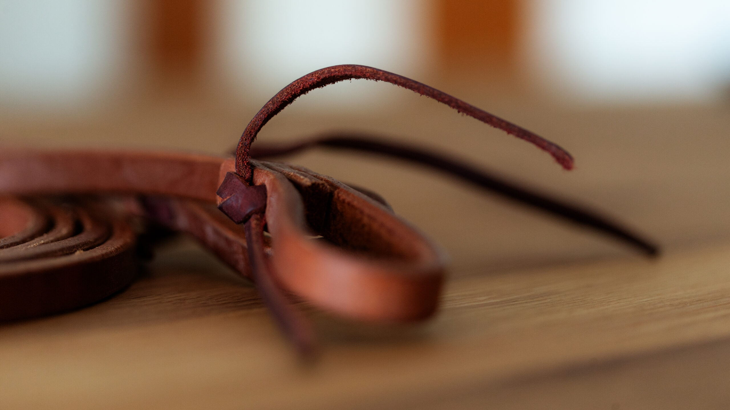 EE Tack Premium Profi Harness Zügel Heavy Harness Tack 1/2 8ft – Bild 2