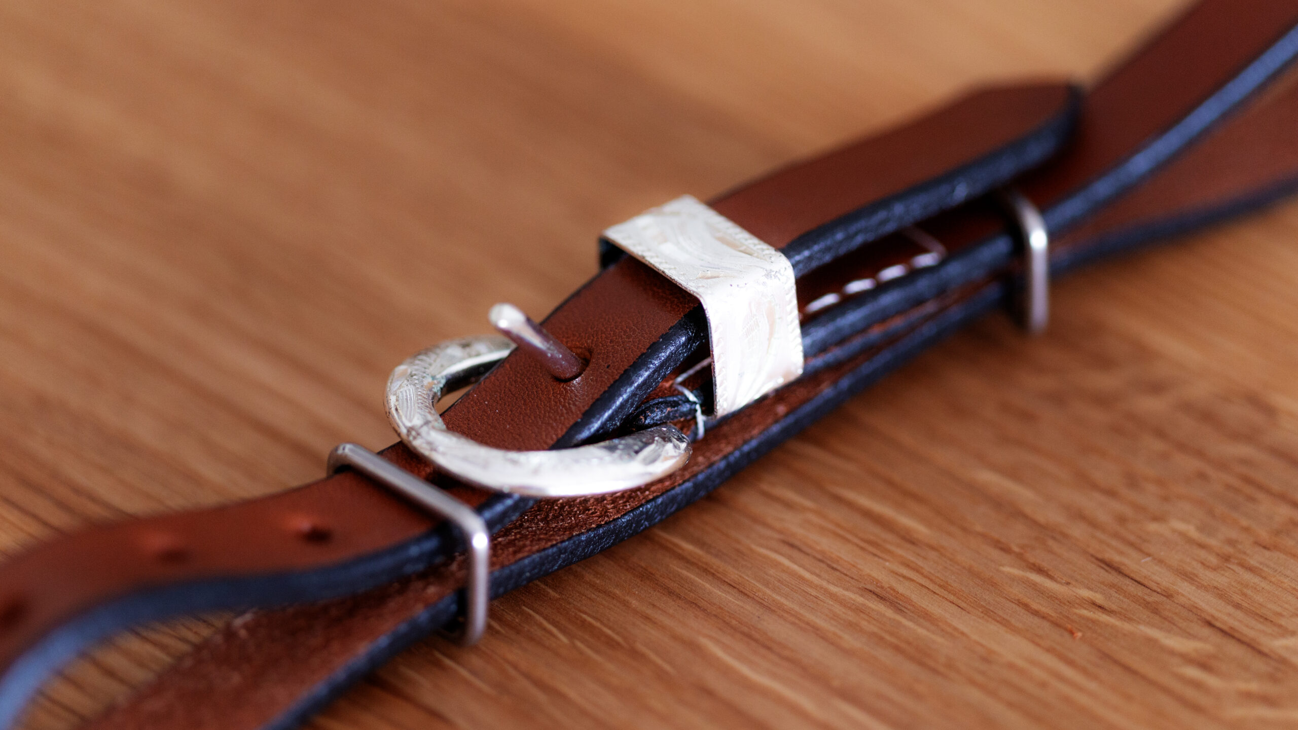 EE Tack Kinnriemen Show  Silber /Mittel – Bild 5